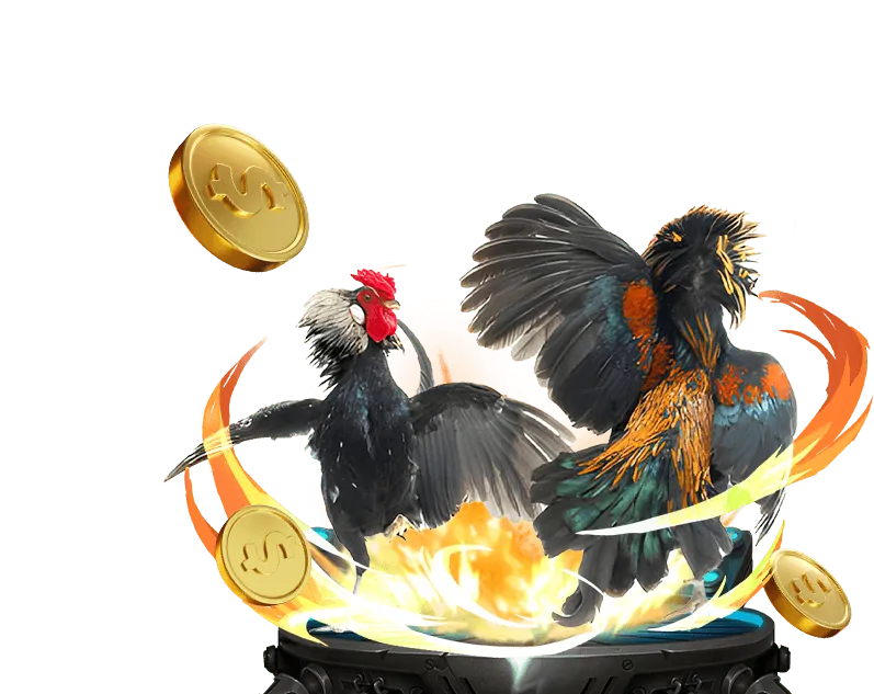 Hình ảnh minh họa hướng dẫn cá cược thể thao